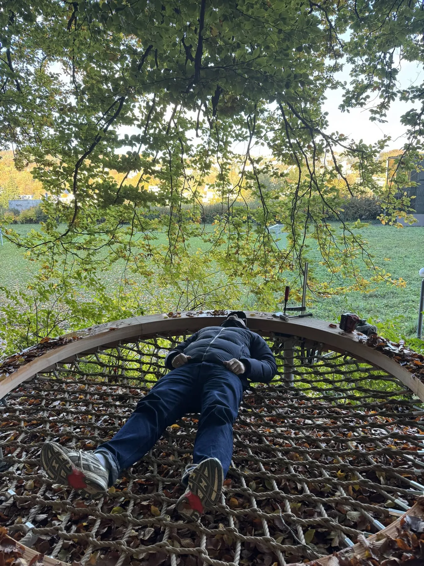 Person liegt auf dem Seilnetz des Himmelbetts unter Buchenzweigen mit Blick auf eine Wiese