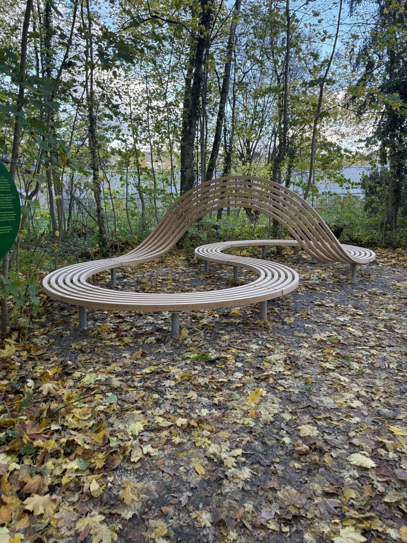 Geschwungene Holzlattenbank in Schleifenform auf Herbstlaub zwischen Bäumen