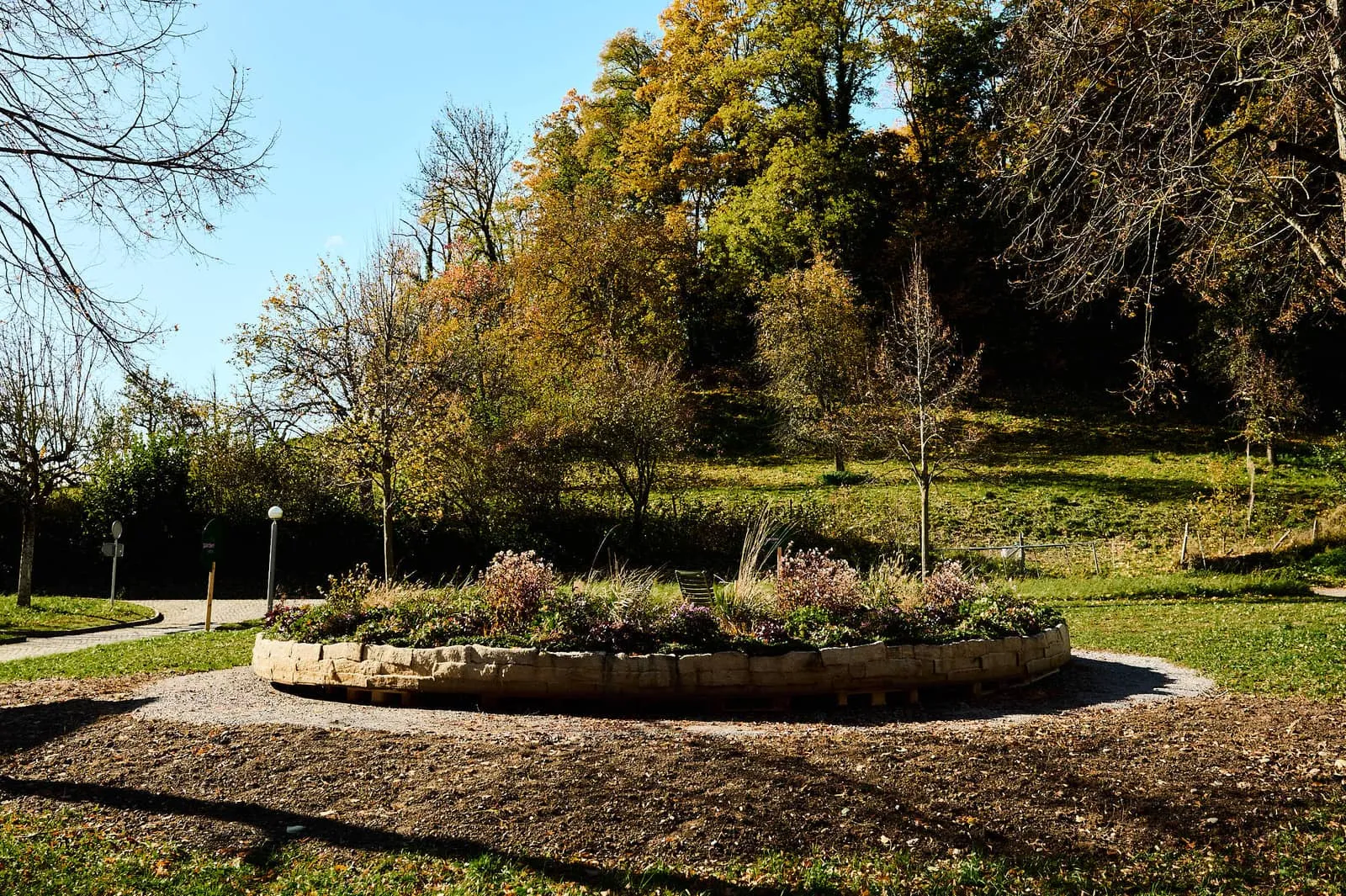 Bepflanzter Blumenring mit Gräsern und Stauden am Waldrand, Gehölz im Herbstlicht